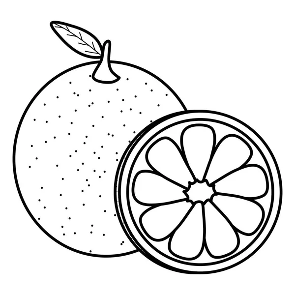 Naranja Fresca Cítricos Vector Ilustración Diseño — Archivo Imágenes Vectoriales