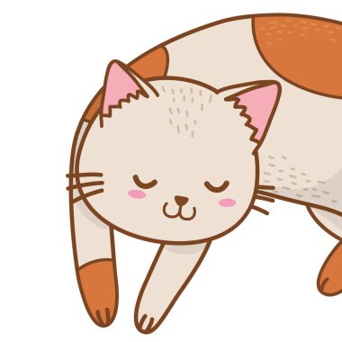 sevimli evcil hayvan küçük hayvan kedi karikatür vektör illüstrasyon grafik tasarım