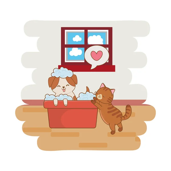 Lindo Divertido Mascotas Perro Gato Tomando Vector Dibujos Animados Ducha — Vector de stock