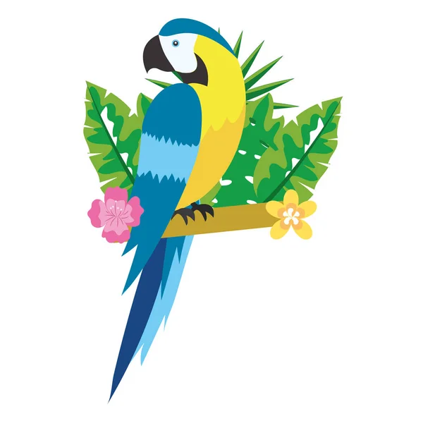 Cute Tropical Parrot Cartoon Vector Illustration Graphic Design — Stock Vector