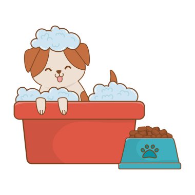 hayvan eğlence grafik illüstrasyon karikatür köpek sevimli tasarlamak vektör