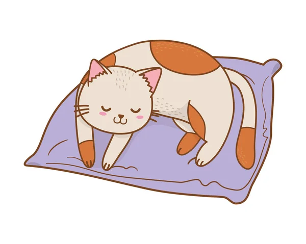 Lindo Gato Divertido Mascota Durmiendo Dibujos Animados Vector Ilustración Diseño — Vector de stock