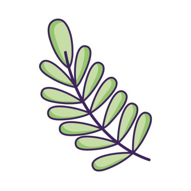 şube ile bitki vektör çizim tasarım yapraklar