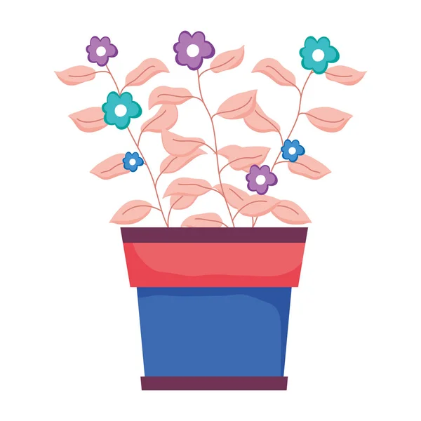 可爱的室内植物花卉装饰矢量插图设计 — 图库矢量图片