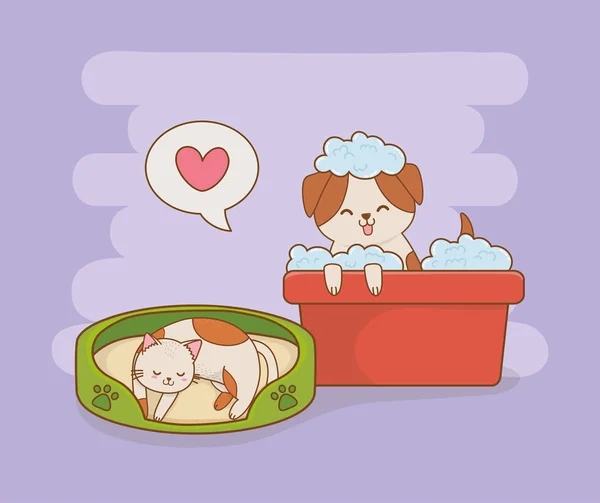 可爱的小小狗和小猫吉祥物矢量插图设计 — 图库矢量图片