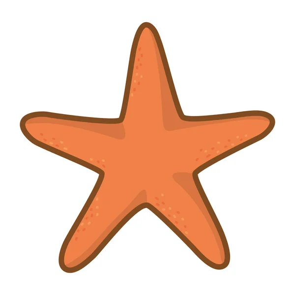 Orange Starfish Cartoon Isolated Flat Icon Summer Time Vector Illustration — Stock Vector