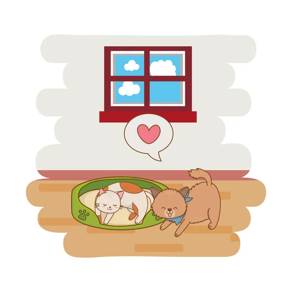 可爱的有趣的宠物猫在宠物床卡通矢量插图图形设计 — 图库矢量图片