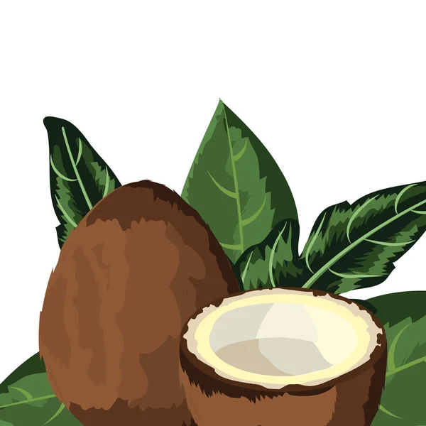Frutas Tropicales Coco Dibujos Animados Vector Ilustración Diseño Gráfico — Vector de stock