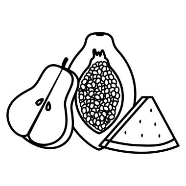taze papaya egzotik meyve vektör illüstrasyon tasarım