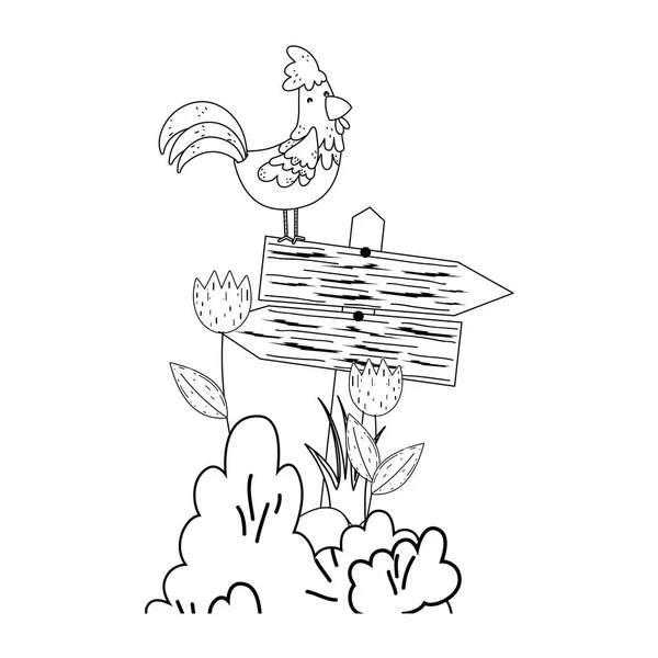 Giardino Con Segnalazione Freccia Legno Disegno Illustrazione Vettoriale Gallo — Vettoriale Stock