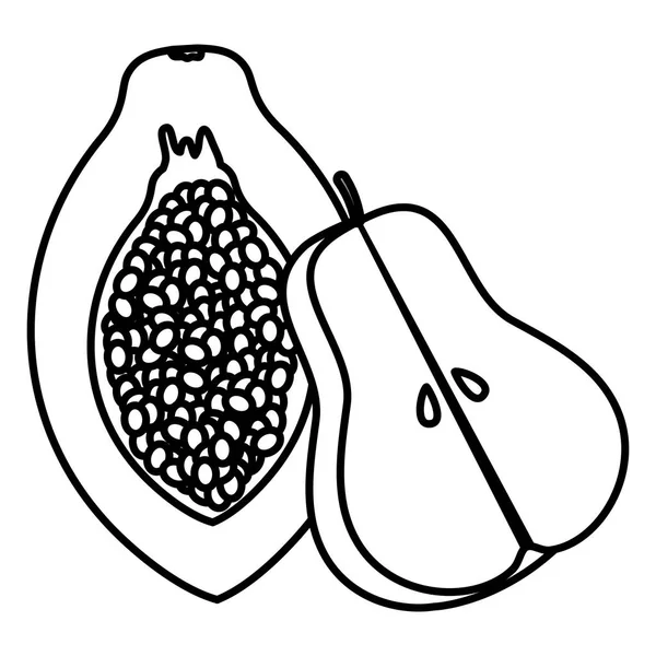 新鮮なパパイヤと梨の果実ベクトルイラストデザイン — ストックベクタ