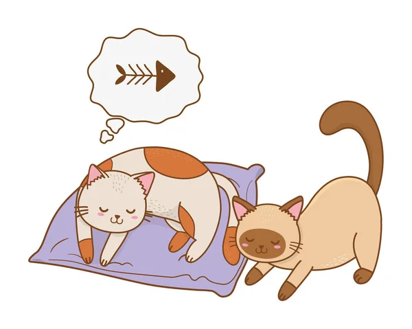 Lindo Divertido Mascotas Gatos Cama Mascotas Vector Dibujos Animados Ilustración — Vector de stock