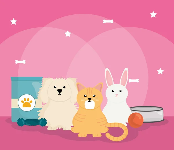 Grupo Mascotas Con Diseño Ilustración Vectores Alimentos — Vector de stock