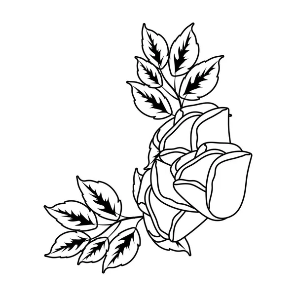 Цветочные Тропические Розы Цветок Мультипликационный Вектор Графический Дизайн — стоковый вектор