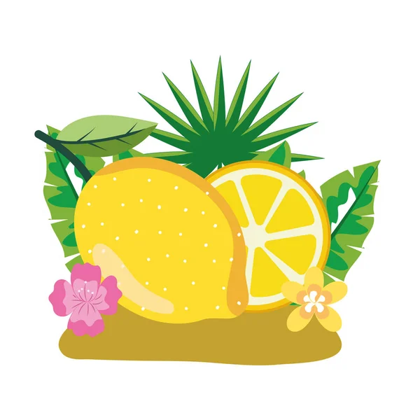 Delicious Fruit Grapefruit Cartoon Vector Illustration Graphic Design — Stock Vector