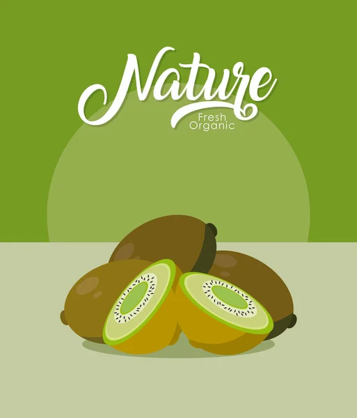 Kiwi's natuur fruit — Stockvector