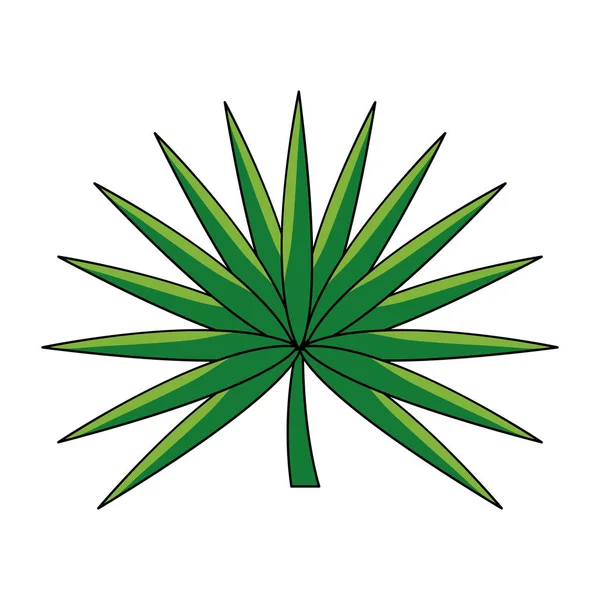 Dibujos animados de hoja de palma tropical — Vector de stock