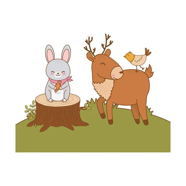 Cute animals in the field woodland characters — Stock Vector