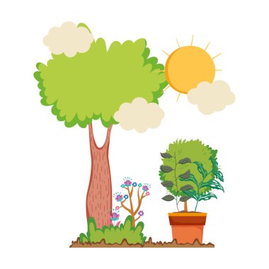 peyzaj houseplant ile ağaç bitki