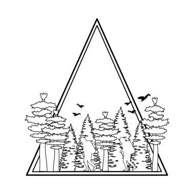 çam ağaçları orman sahne