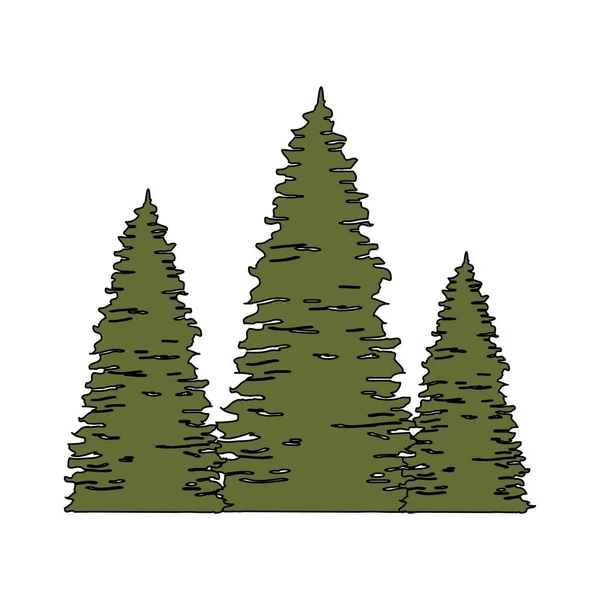 Pinos árboles bosque escena — Vector de stock