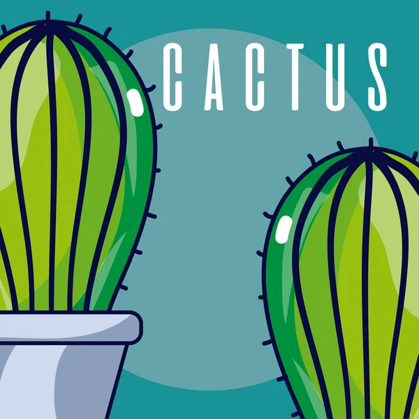 Plantas de cactus — Archivo Imágenes Vectoriales