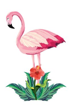 tropikal flamingo karikatür