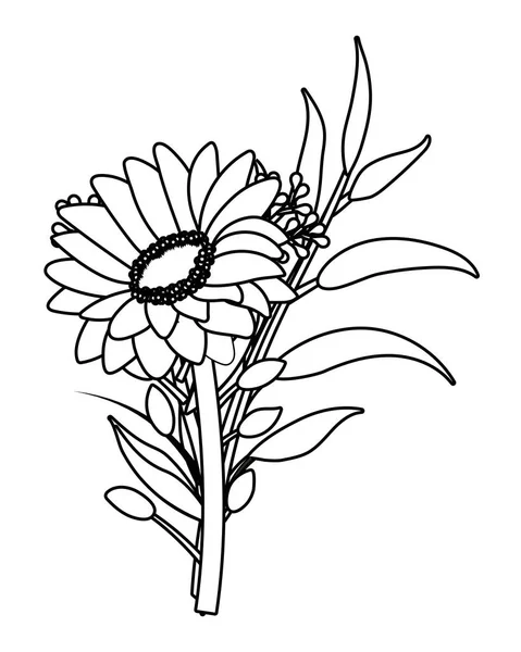 Květinové tropické karikatura v černé a bílé — Stockový vektor