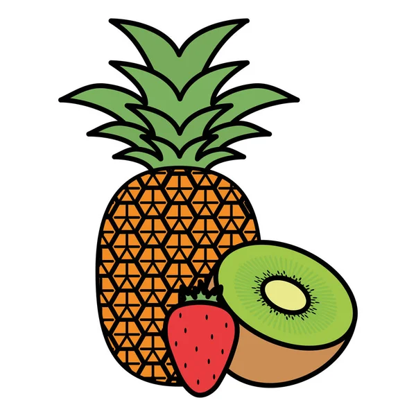 新鲜的奇异果与菠萝和草莓 — 图库矢量图片