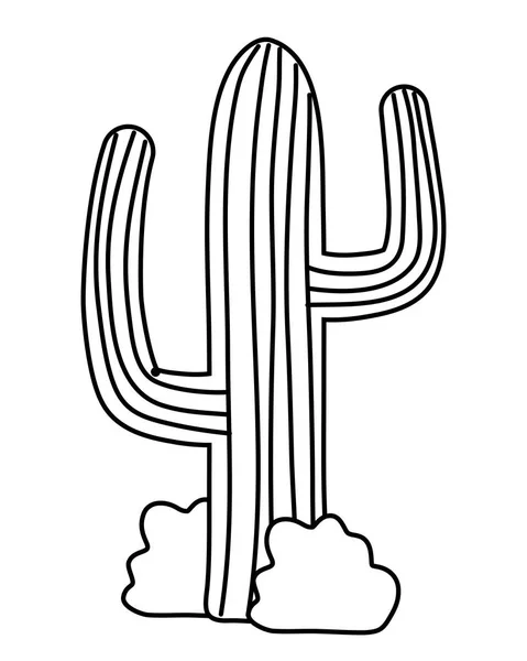 Diseño de cactus aislado — Vector de stock