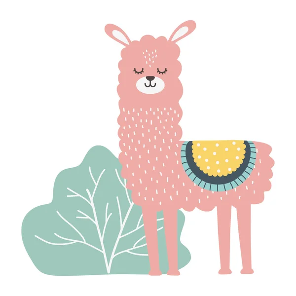 Llama cartoon design — Stock Vector