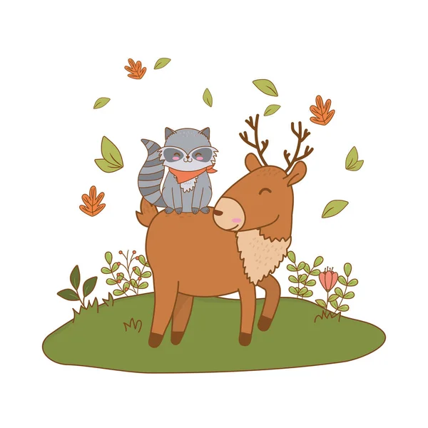 Cute reindeer and raccoon in the field woodland characters — Stock Vector
