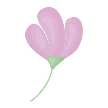 Güzel gül çiçek simgesi