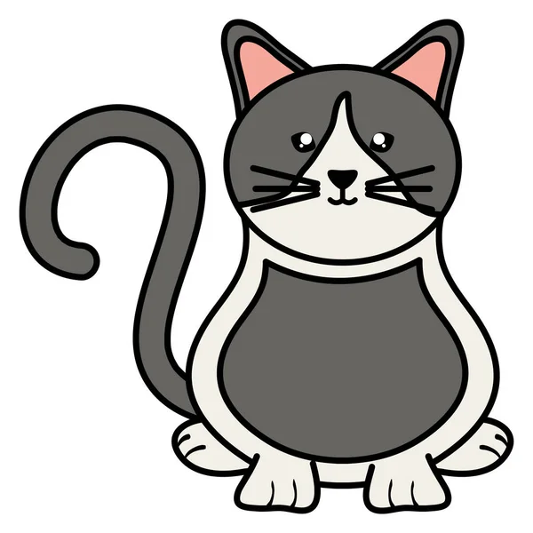 かわいい猫ペットキャラクター — ストックベクタ