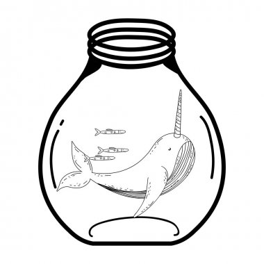 Mason jar sevimli Narval