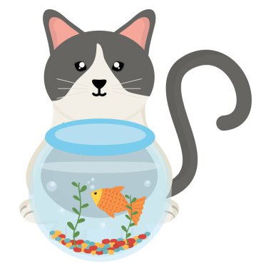 akvaryumda balık ile sevimli küçük kedi