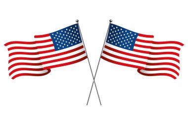 Birleşik Devlet bayrağı