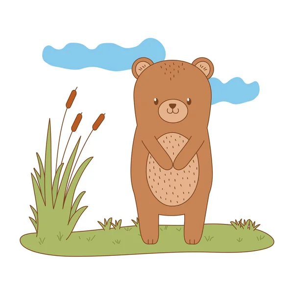 Desenho de desenho animado urso — Vetor de Stock