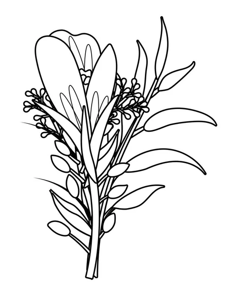 Kwiatowy kreskówka tropikalnych w czerni i bieli — Wektor stockowy