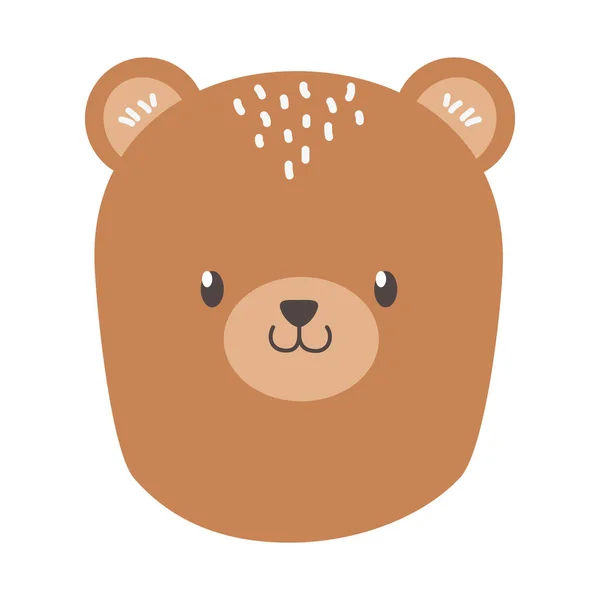 Bear cartoon design — Stock Vector