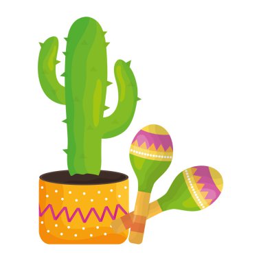 maracas ile meksika cactu bitki