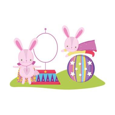 balon sevimli sirk tavşan