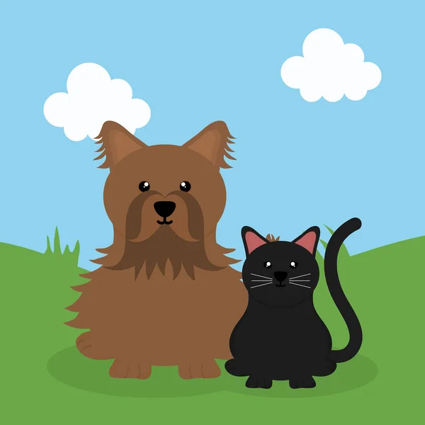 Mignon petit chien et chat mascottes dans le domaine — Image vectorielle