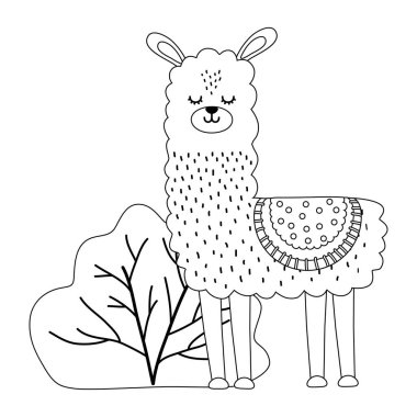 Llama karikatür tasarımı