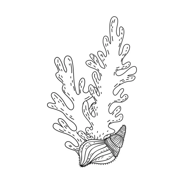 Algues algues nature icône — Image vectorielle