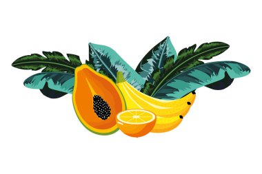 tropikal meyve çizgi filmi