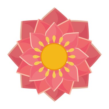 Nilüfer çiçeği simgesi