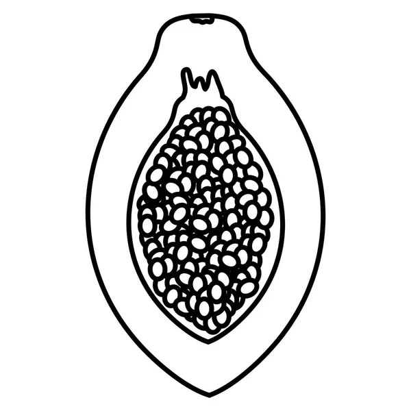 Φρέσκια παπάγια εξωτικά φρούτα — Διανυσματικό Αρχείο