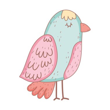 güzel hayvan kuş simge