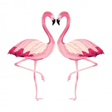 tropikal flamingolar çizgi film